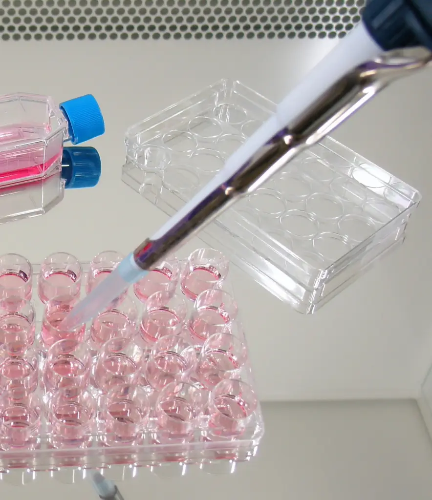 Human CA19-9 ELISA Kit