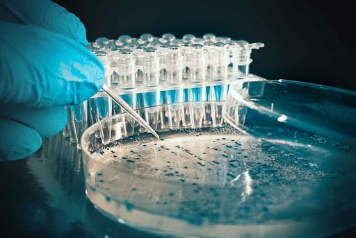 [356-A-9000-050] CRISPR/Cas 9