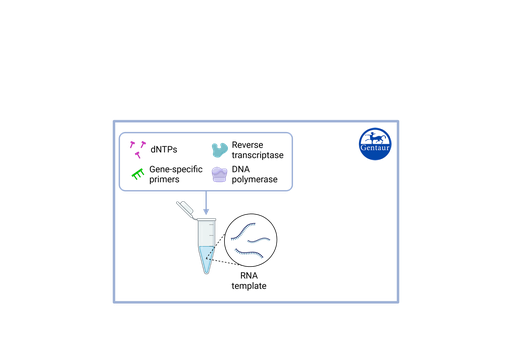 [MAD-​003942M] RT PCR Test Kits  SARS-CoV-2