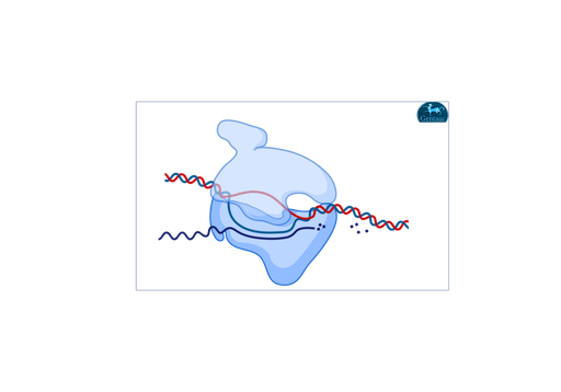 [MBT060E-​5000U] Taq Polymerase 